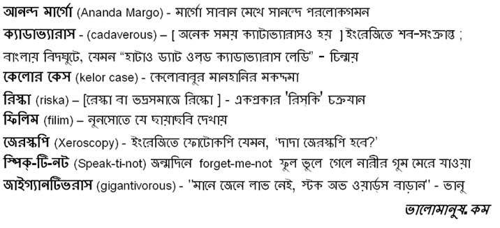 bangla definitons you won't find in a dictionary